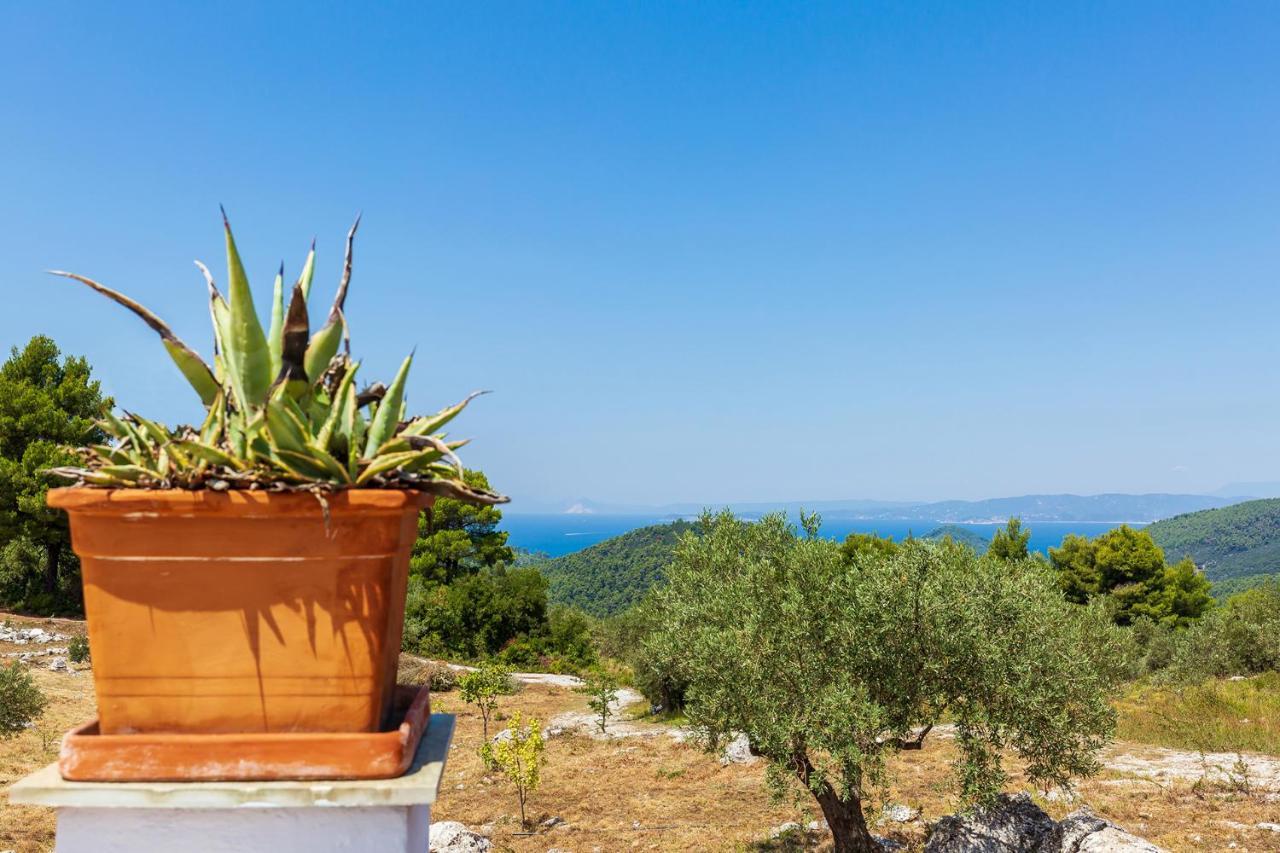 Villa Jasmine Skopelos Extérieur photo